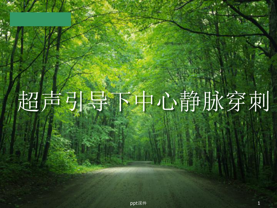 超声引导下中心静脉穿刺（麻醉科）-课件.ppt_第1页