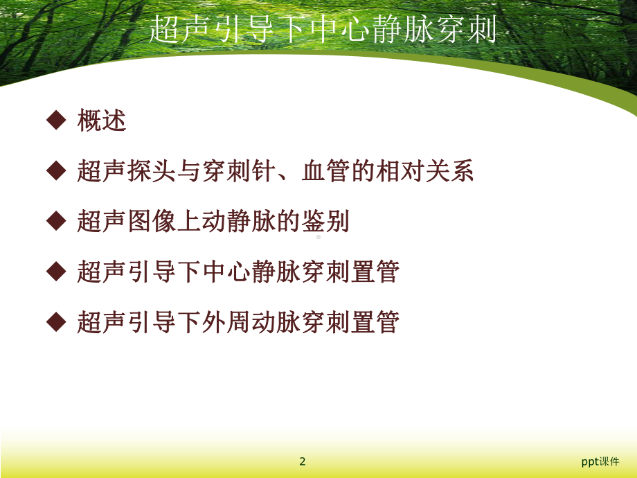 超声引导下中心静脉穿刺（麻醉科）-课件.ppt_第2页