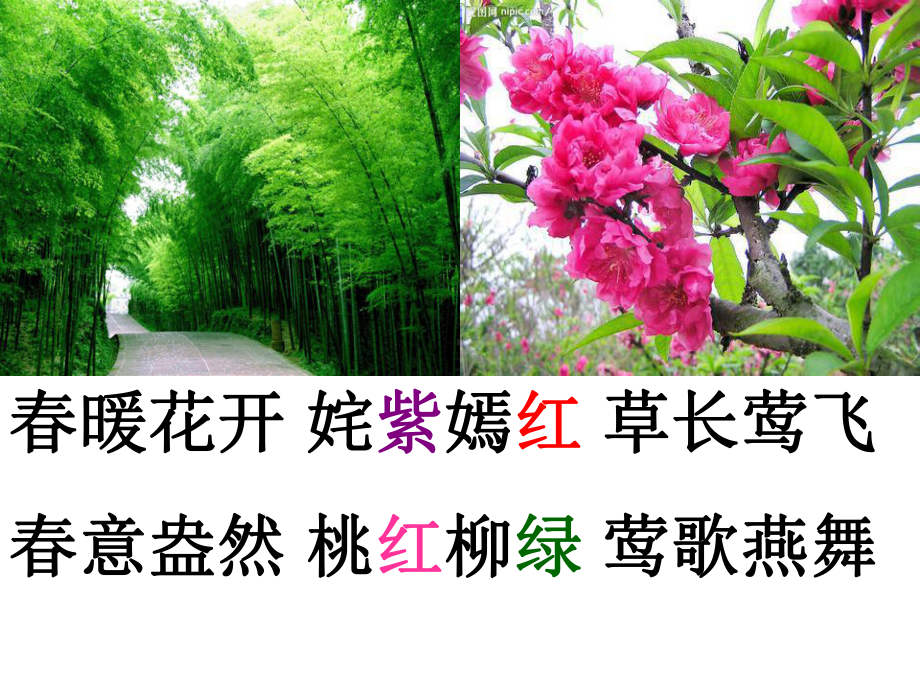 江南春公开课课件.ppt_第3页