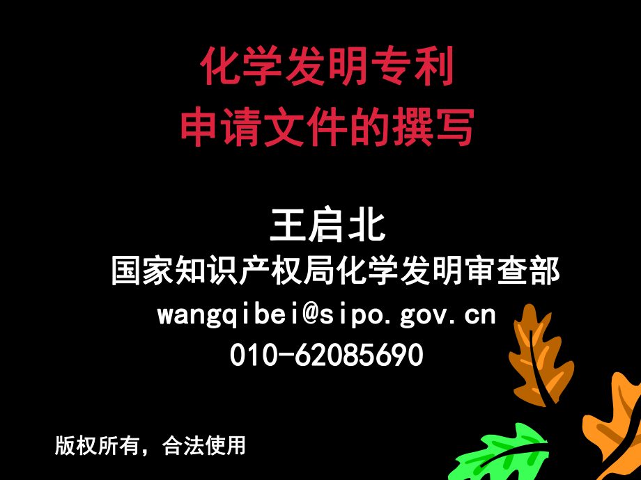 化学发明专利撰写.ppt_第1页