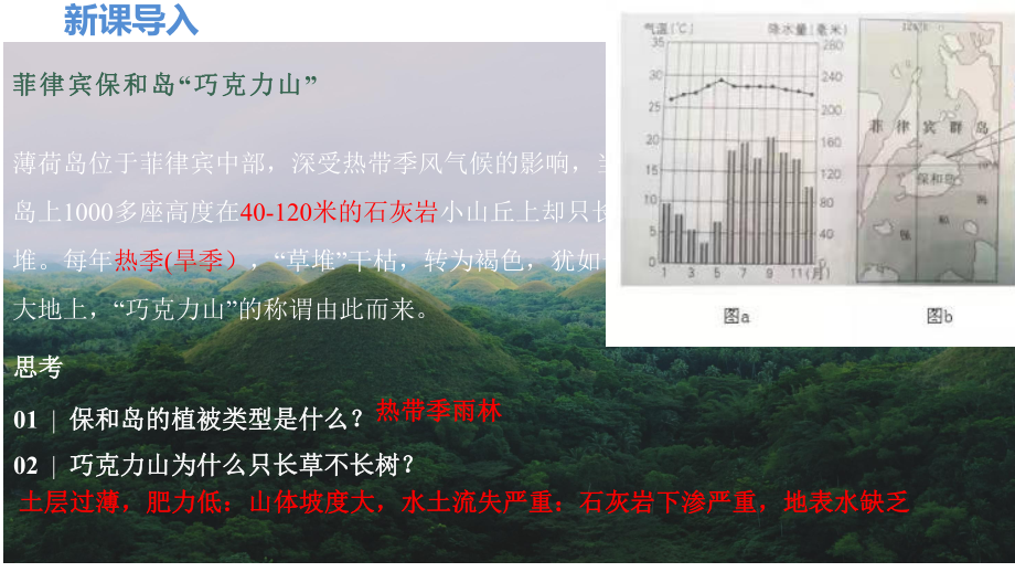 5.1.2+森林、草原与荒漠ppt课件++-2023新人教版（2019）《高中地理》必修第一册.pptx_第2页