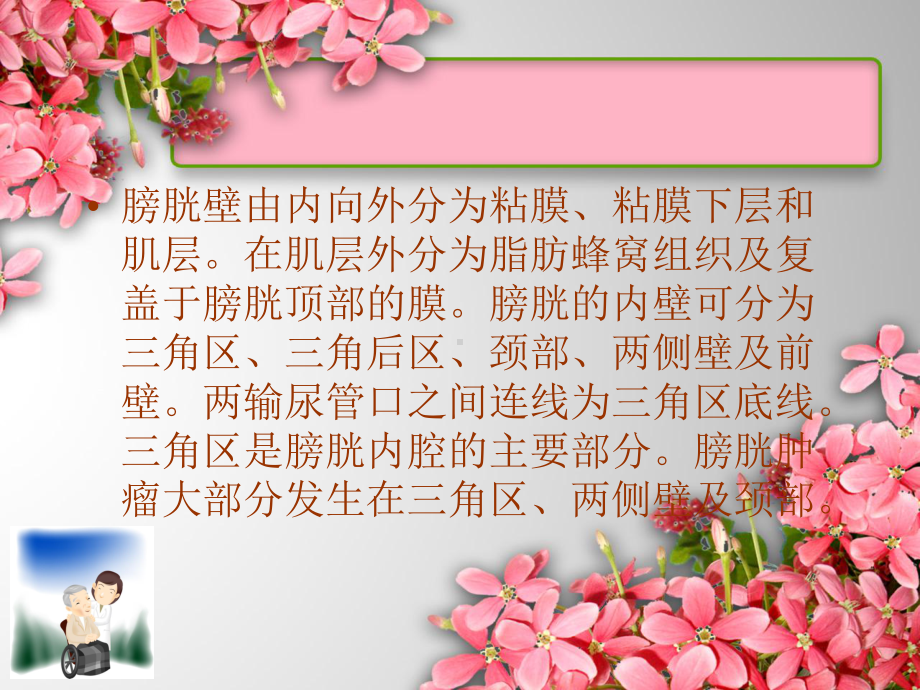 膀胱肿瘤的护理-课件.ppt_第3页