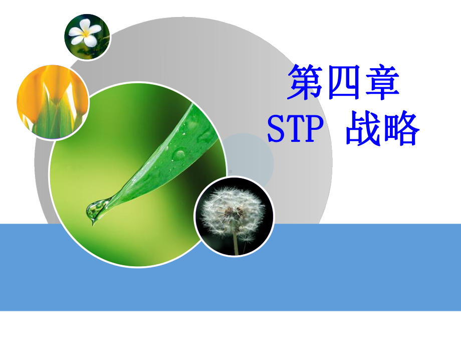 目标场营销策略优点课件.ppt_第1页