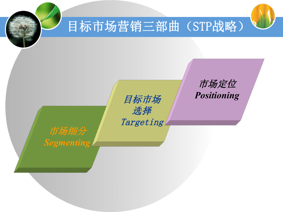 目标场营销策略优点课件.ppt_第2页