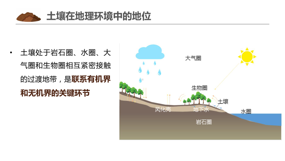 5.2.3土壤的功能和养护 ppt课件 -2023新人教版（2019）《高中地理》必修第一册.pptx_第3页