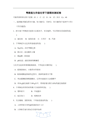 粤教版九年级化学下册期末测试卷(含答案)(DOC 11页).doc