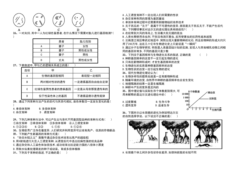 高中生物必修二考试试题(DOC 5页).doc_第3页