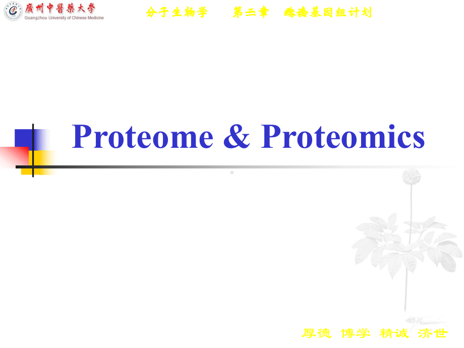 蛋白质组学广州中医药大学课程课件.ppt_第1页