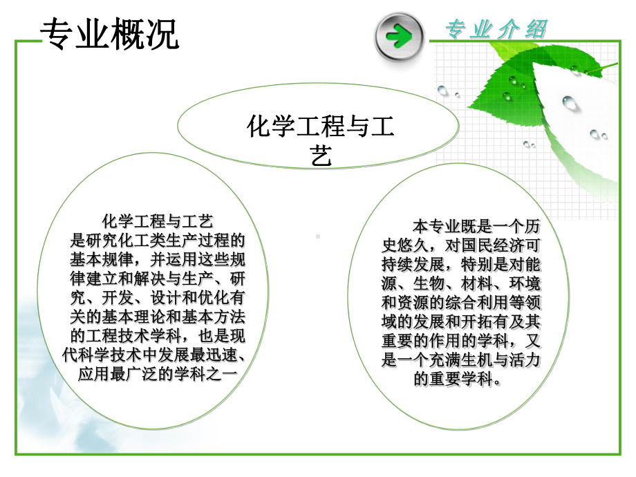 化工专业分析.ppt_第3页