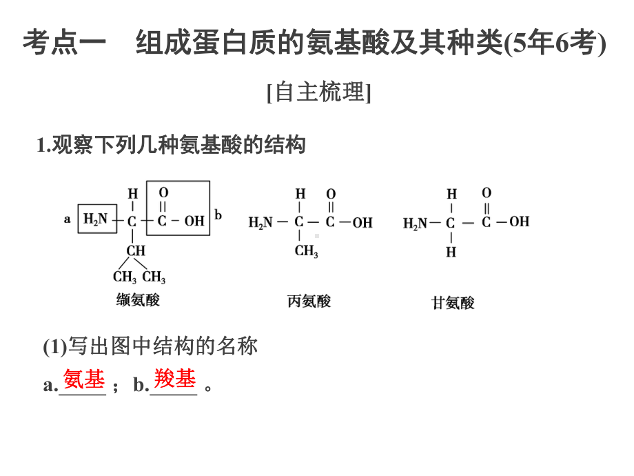 蛋白质高中生物一轮复习课件.ppt_第3页