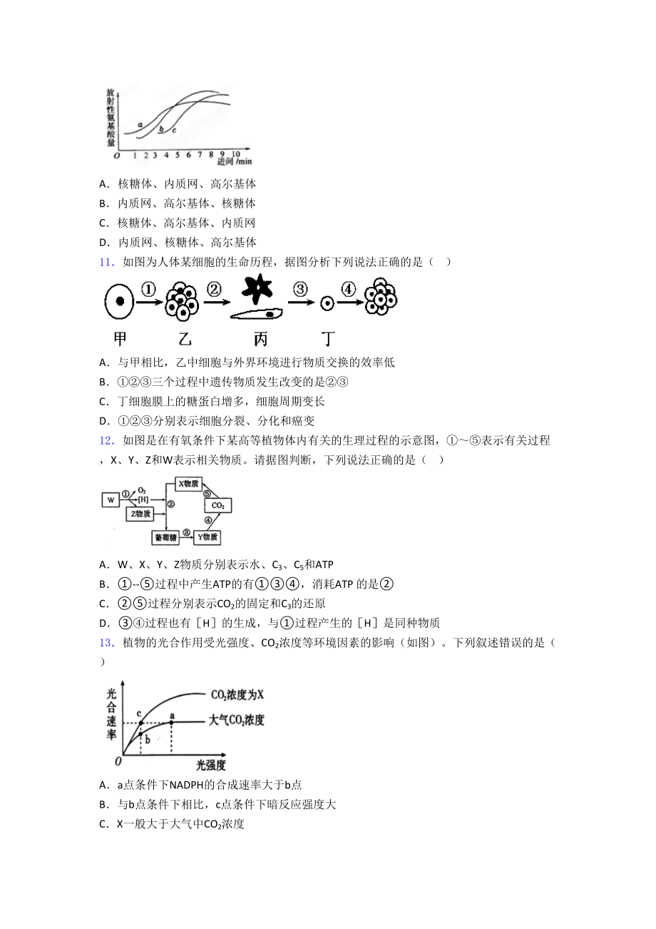 高中生物必修一测试题及答案(DOC 22页).doc_第3页