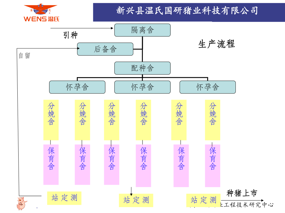 猪场生产计划的制定课件.ppt_第3页