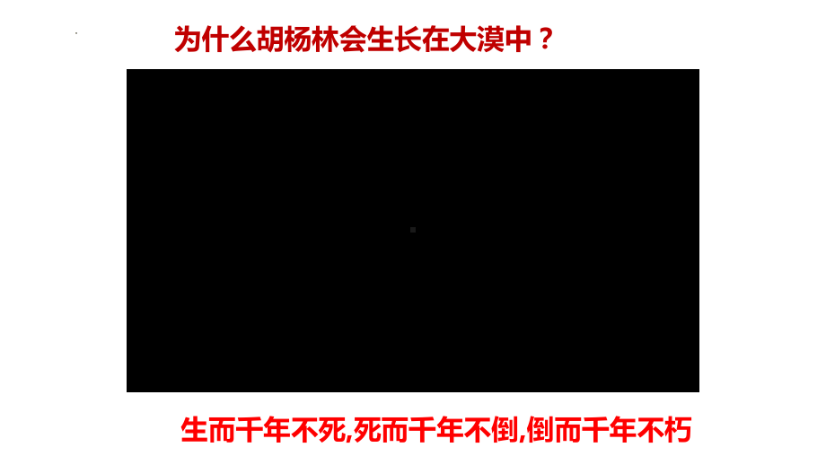 5.1 植被第一课时 ppt课件 -2023新人教版（2019）《高中地理》必修第一册.pptx_第2页