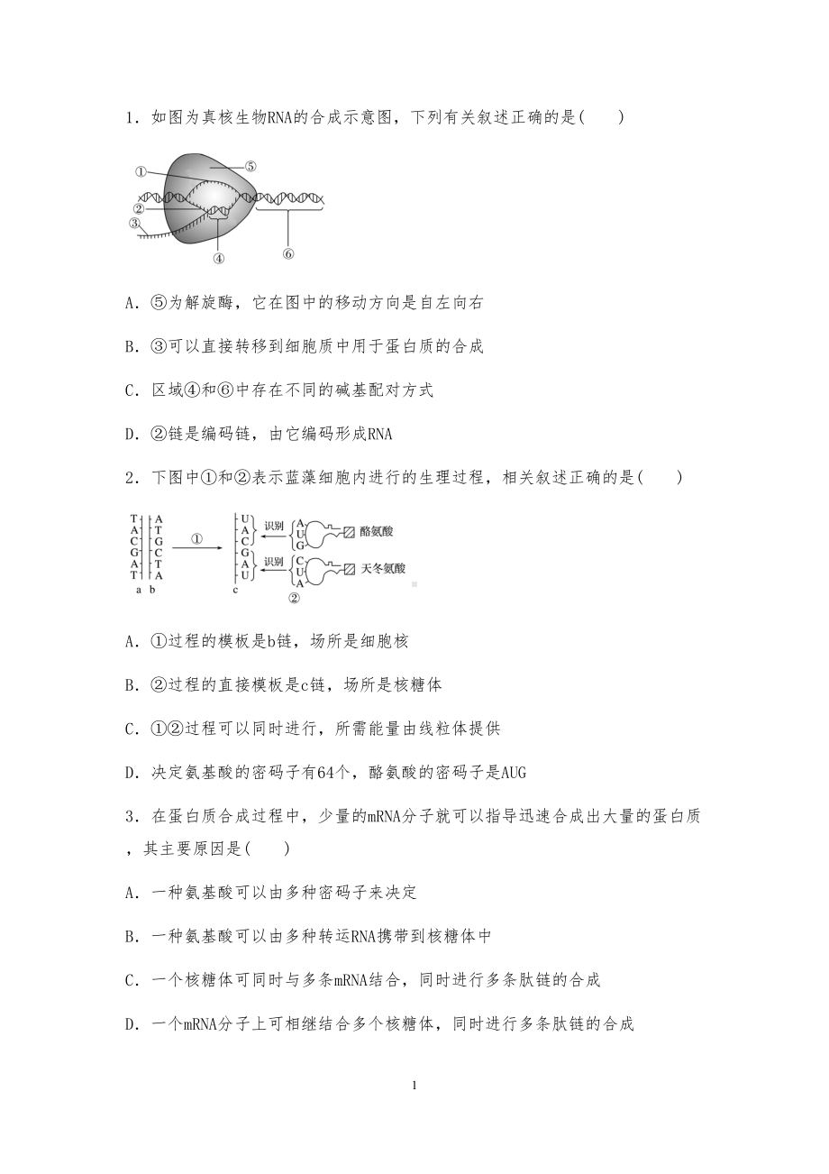 高中生物专题复习《基因的表达》强化训练试题(DOC 8页).docx_第1页