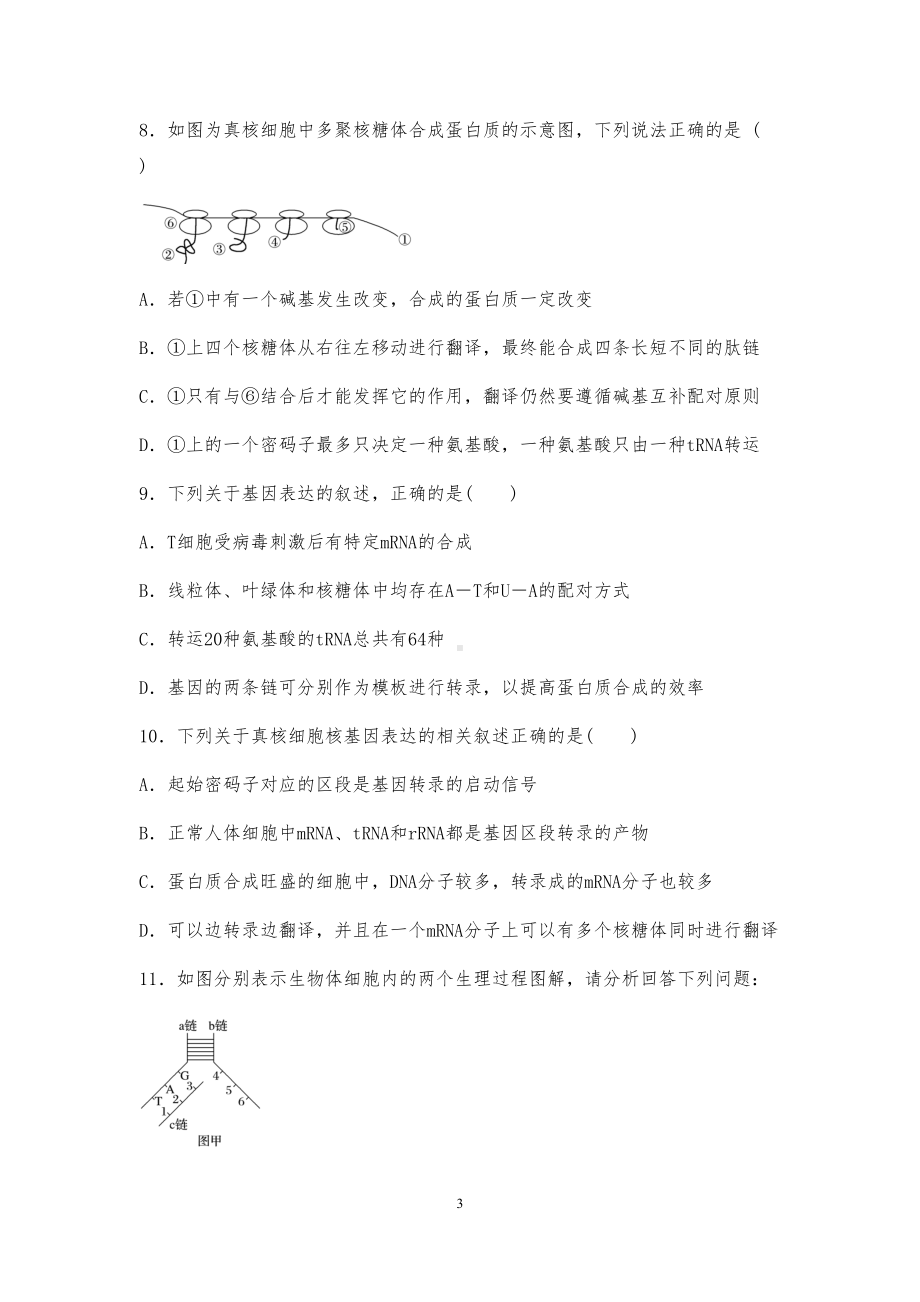 高中生物专题复习《基因的表达》强化训练试题(DOC 8页).docx_第3页