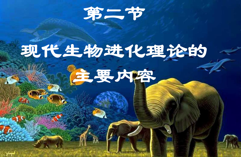 现代生物进化理论的主要内容公开课课件.ppt_第1页