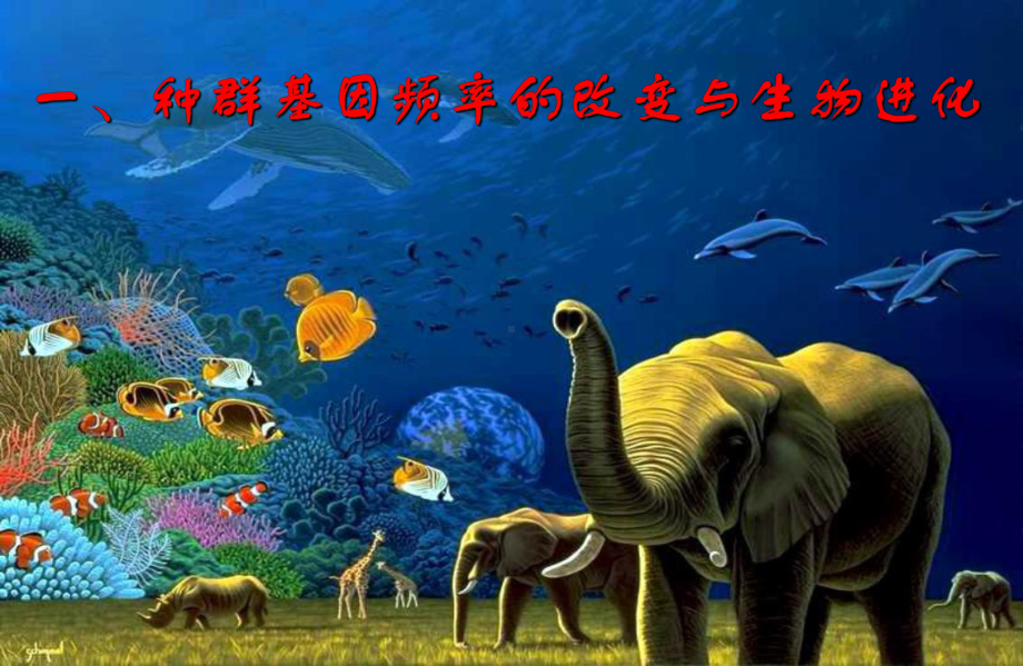 现代生物进化理论的主要内容公开课课件.ppt_第3页