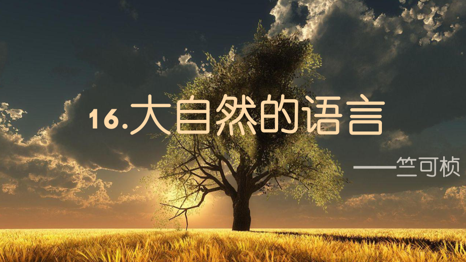 第5课《大自然的语言》ppt课件（42张PPT）-（部）统编版八年级下册《语文》.pptx_第1页