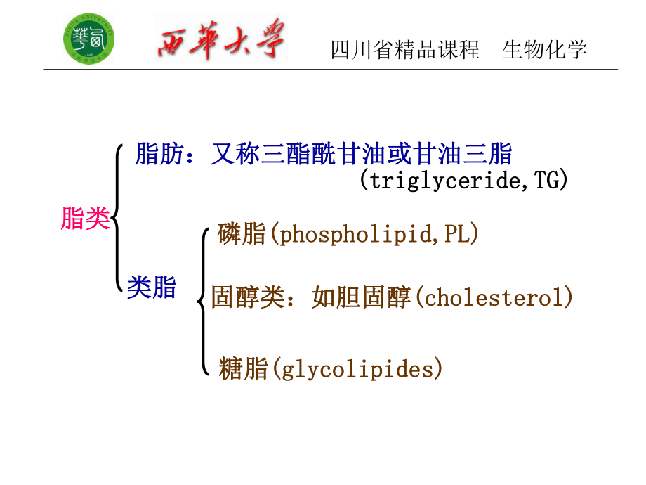 生物化学第十脂肪代谢课件.ppt_第3页