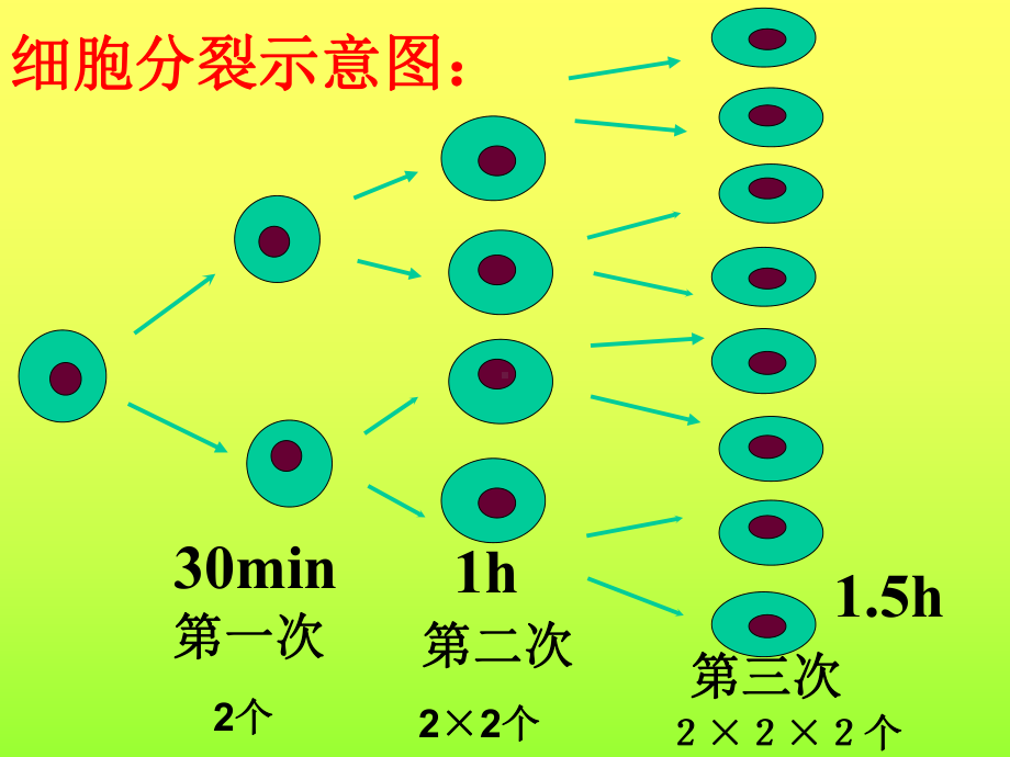 有理数的乘方公开课课件.pptx_第3页