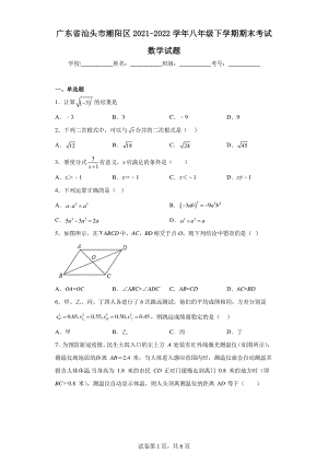 广东省汕头市潮阳区2021-2022学年八年级下学期期末考试数学试题.pdf