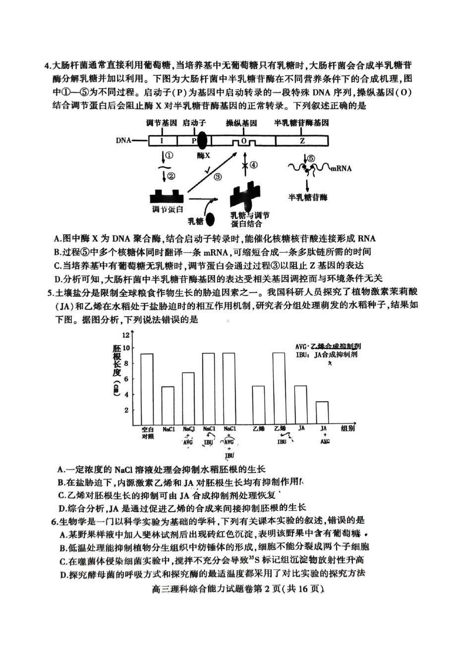 安徽省淮北市2023届高三下学期二模理科综合试卷+答案.pdf_第2页