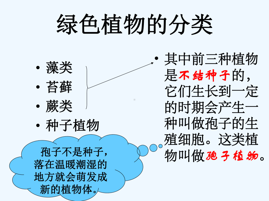 绿色植物的分类复习课件.ppt_第1页