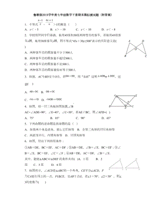 鲁教版2019学年度七年级数学下册期末模拟测试题(附答案)(DOC 16页).doc