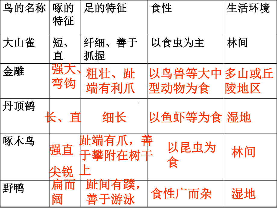 第六节--鸟-类课件.ppt_第3页