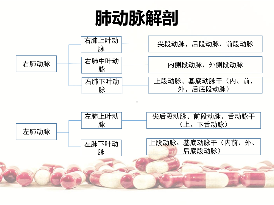 肺动脉栓塞影像表现课件.ppt_第2页