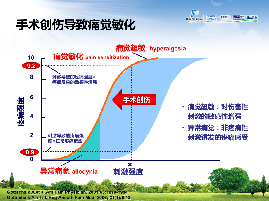 炎症与痛觉敏化课件.pptx_第2页