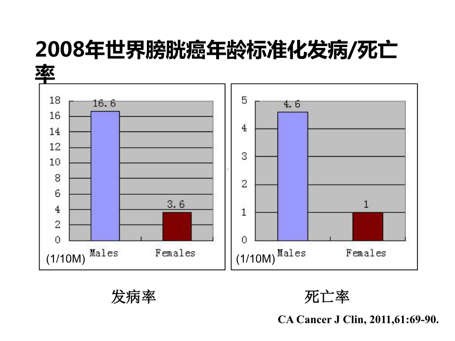 膀胱癌诊疗指南(非肌层浸润性)课件.ppt_第2页