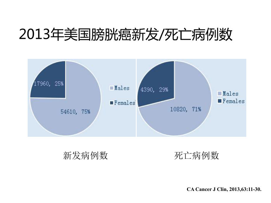 膀胱癌诊疗指南(非肌层浸润性)课件.ppt_第3页