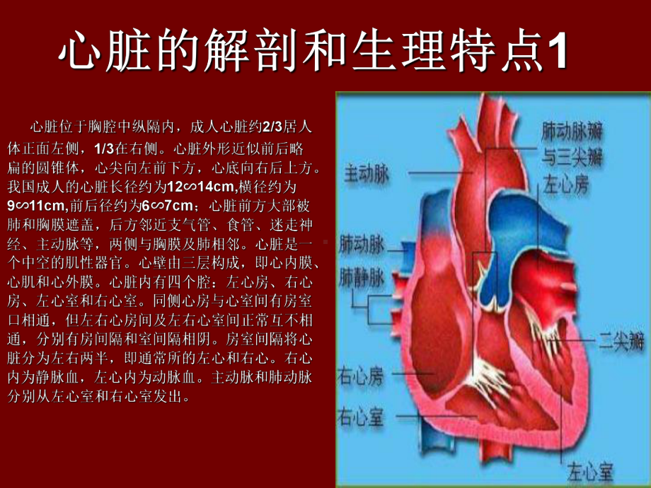 超声心动图入门基础-医学影像学课件.ppt_第2页