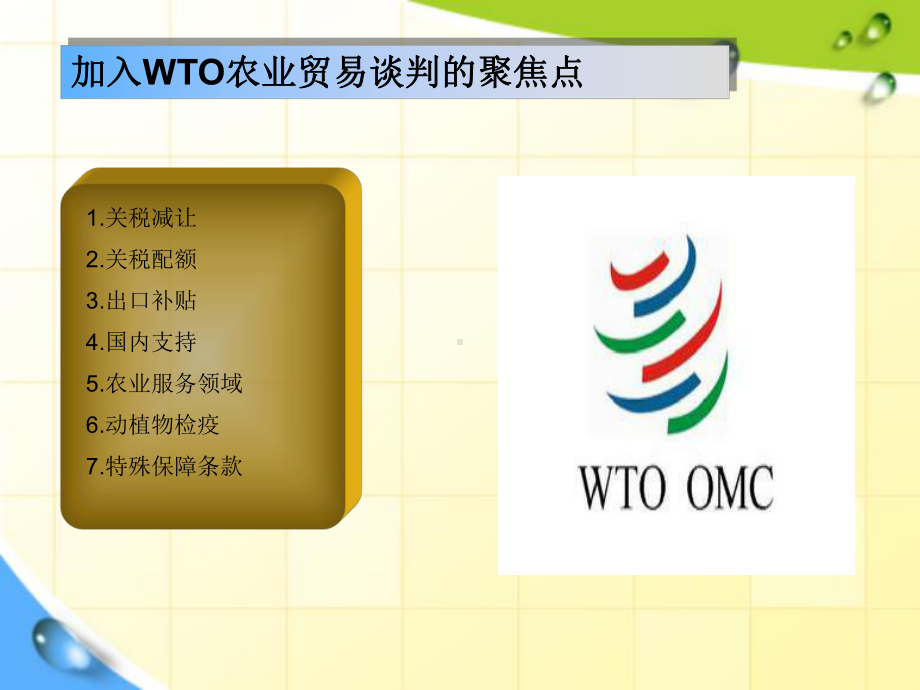 加入WTO 对中国农业的影响.ppt_第2页