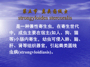 粪类圆线虫strongyloidessterco课件.ppt