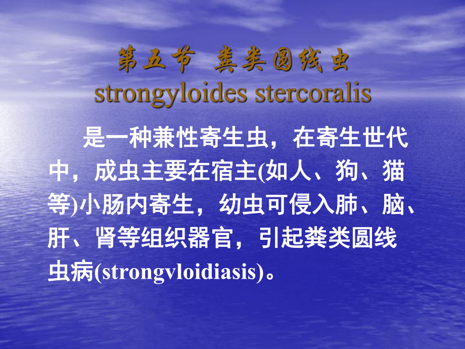 粪类圆线虫strongyloidessterco课件.ppt_第1页