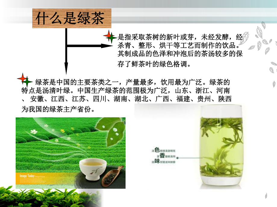 认识绿茶课件.ppt_第3页