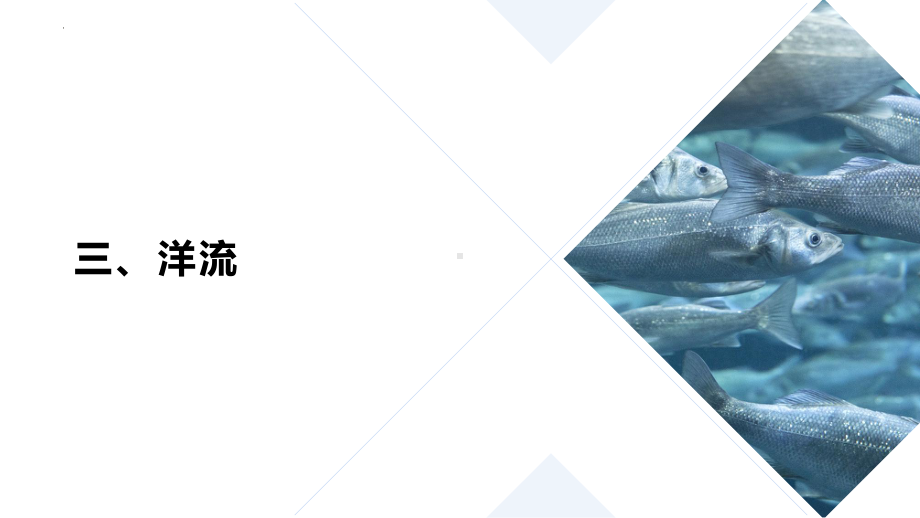 3.3 海水的运动2ppt课件-2023新人教版（2019）《高中地理》必修第一册.pptx_第3页