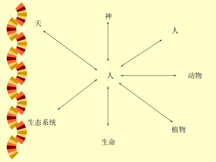 社会生态学和生态女权主义课件.ppt_第2页