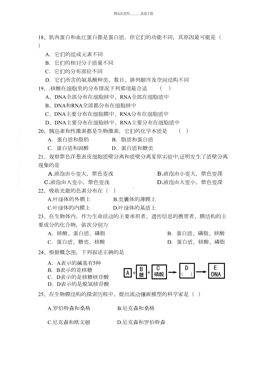 高一生物上册期末测试题(DOC 6页).doc_第3页