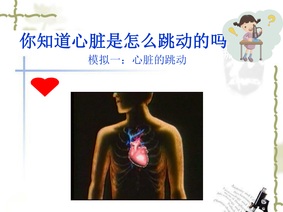 苏教版五年级科学-《心脏和血液循环》课件.ppt_第3页