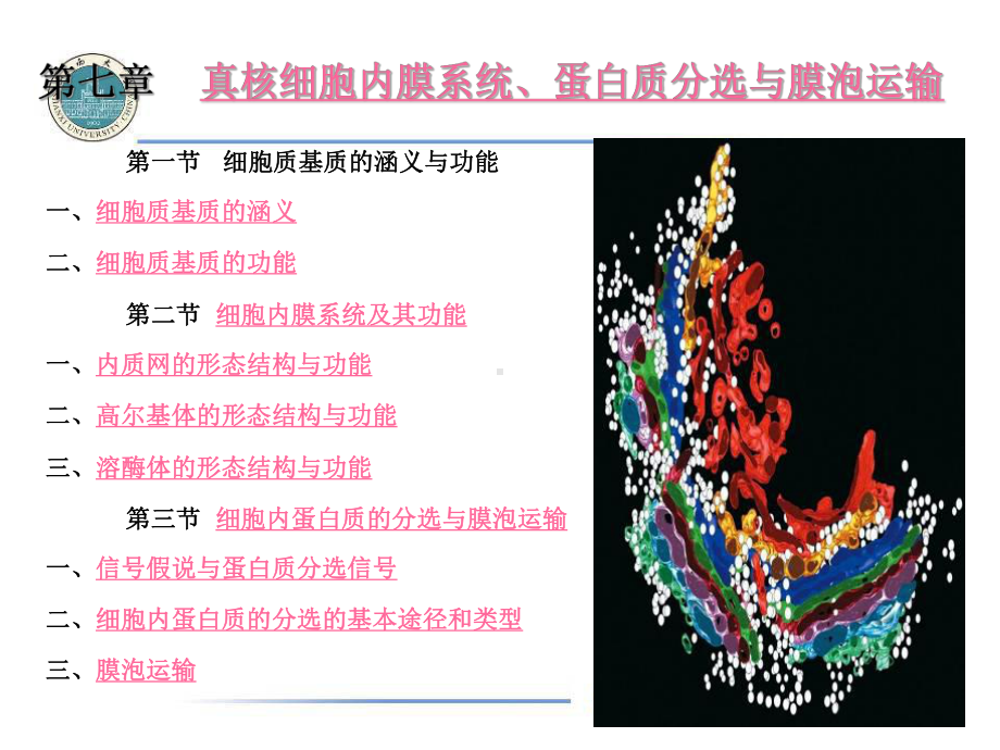 第七章真核细胞内膜系统、蛋白质分选与膜泡运输课件.ppt_第1页