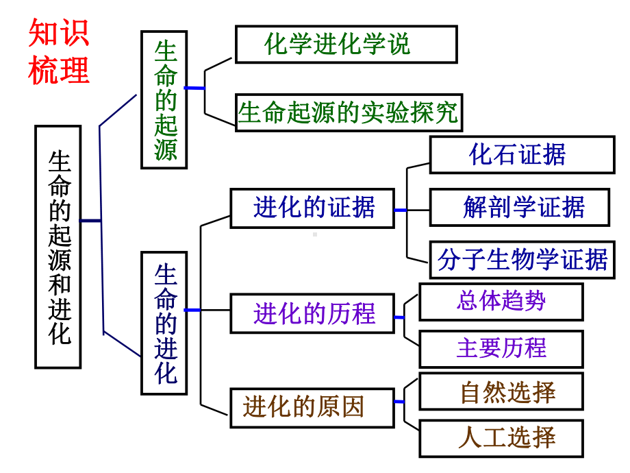 生命的起源和进化(复习课)课件.ppt_第2页