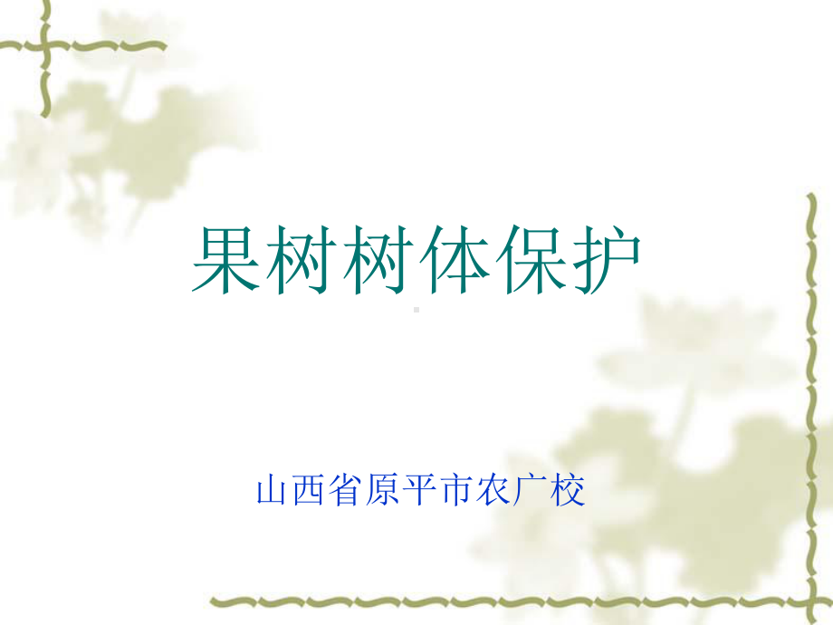 果树树体保护课件.ppt_第2页