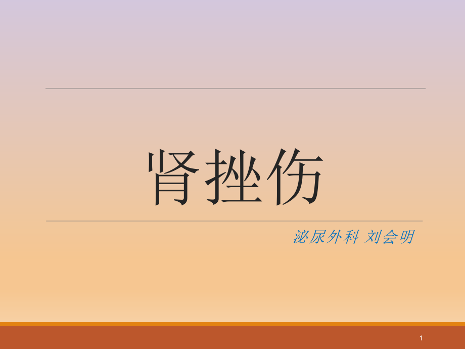 肾挫伤教学讲解课件.ppt_第1页