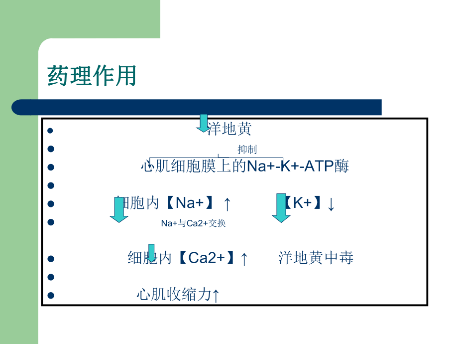 洋地黄教学课件.ppt_第3页