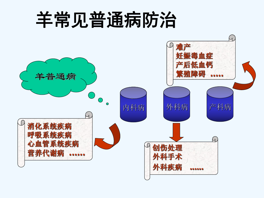 羊常见普通病防治石冬梅课件.ppt_第2页