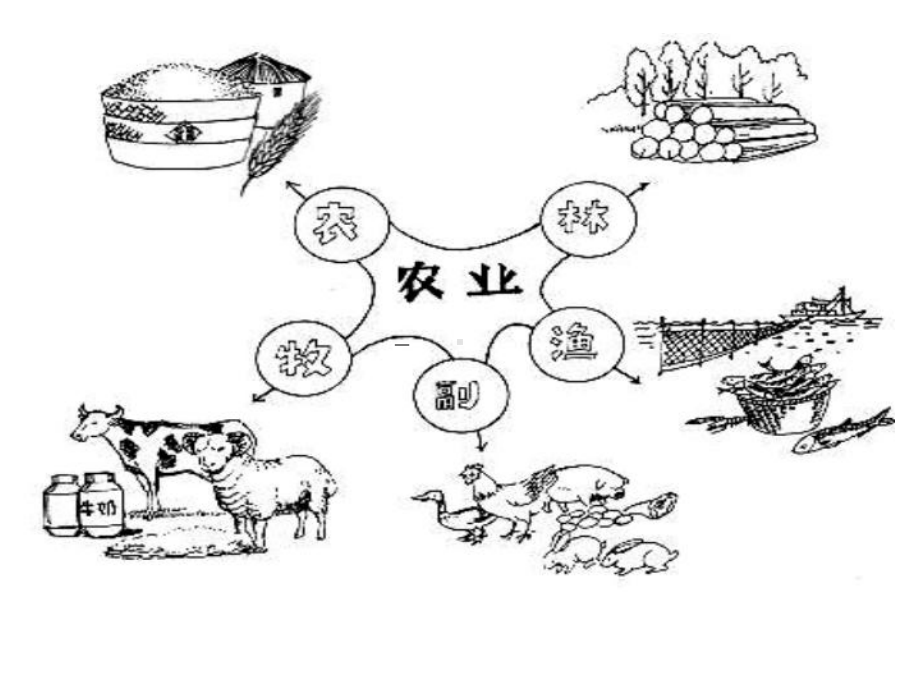 中国的农业8.ppt_第3页