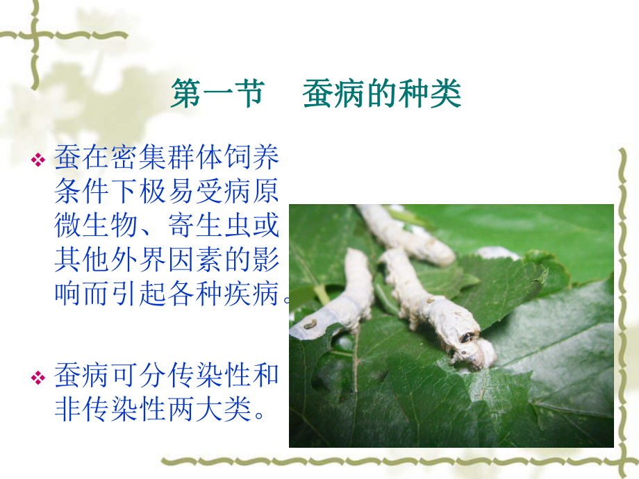 蚕病防治课件.ppt_第2页